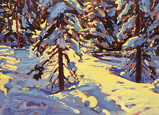 #23 ~ Duma - Winter Light