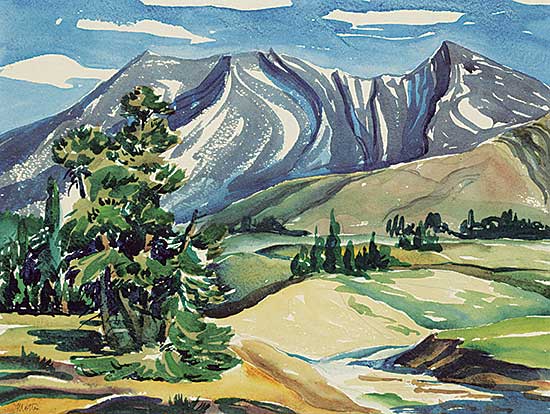 #47 ~ Motter - Sunwapta Pass