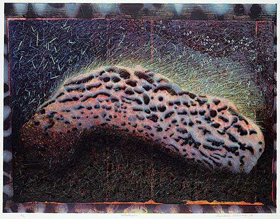#49 ~ Osborne - Tatatuber  #2/16