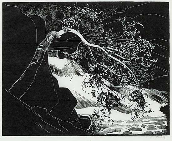 #55 ~ Phillips - Rushing River, Lake of the Woods