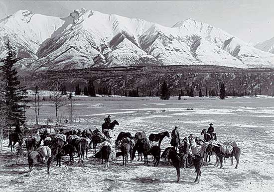 #85 ~ Barnes - Pack Train on Kootenay Plains circa 1907