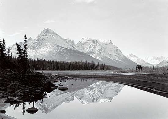 #97 ~ Harmon - Mount Quincy, Columbia Icefield Trip, 1924
