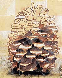 #51 ~ Ouellet - Pinecone Series #2