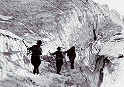 #102 ~ Harmon - Dr. Cora Best, Audrey Shippam and Conrad Kain on the Starbird [Horsethief] Glacier, 1922