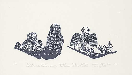 #1014 ~ Amittu - Owls with their Babies and Eggs