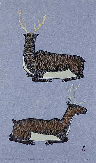 #1117 ~ Pootoogook - Taqaiqsiqtu Tuttu  #40/50