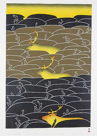 #1199 ~ Teevee - Seasonal Migration  #15/50