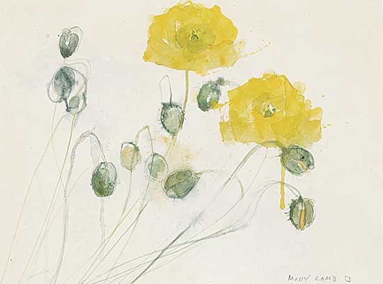 #15 ~ Bobak - Poppies