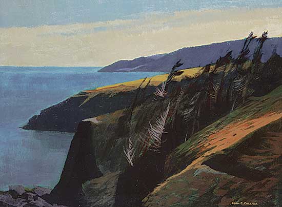 #40 ~ Collier - Middle Cove, North of St. John's, Newfoundland
