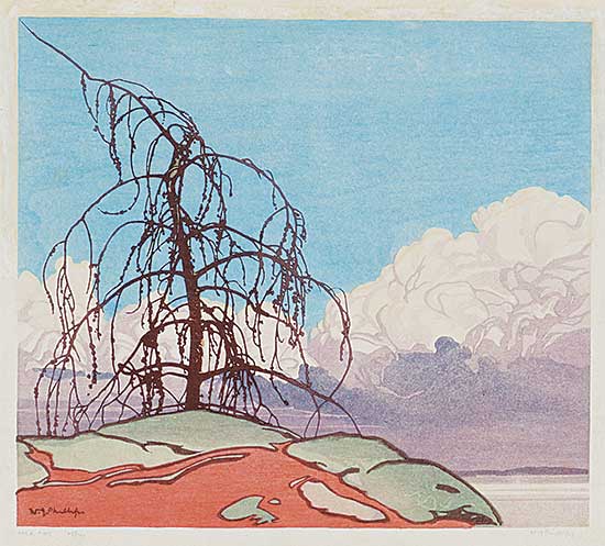 #109 ~ Phillips - Jack Pine  #25/100