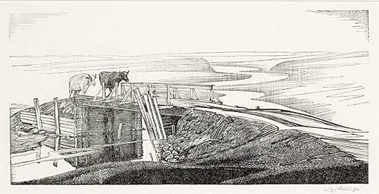 #111 ~ Phillips - Cook's Creek