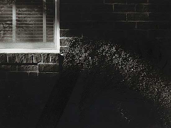 #205 ~ Burtynsky - Untitled - Hedge and Window
