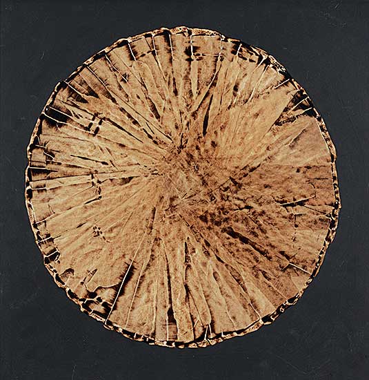 #236 ~ McKay - Untitled - Mandala