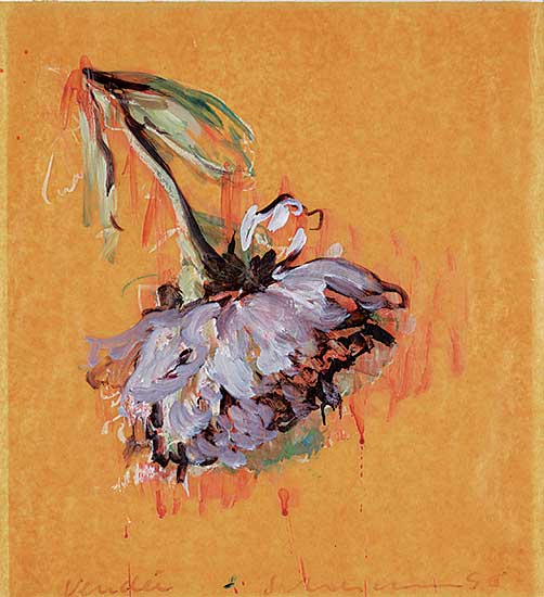 #251 ~ Scherman - Vendei