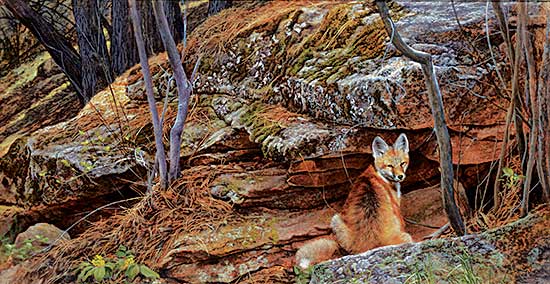#401 ~ Aldrich - Fox in the Den