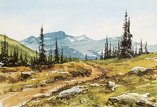 #418 ~ Camping - Untitled - Alpine Meadow