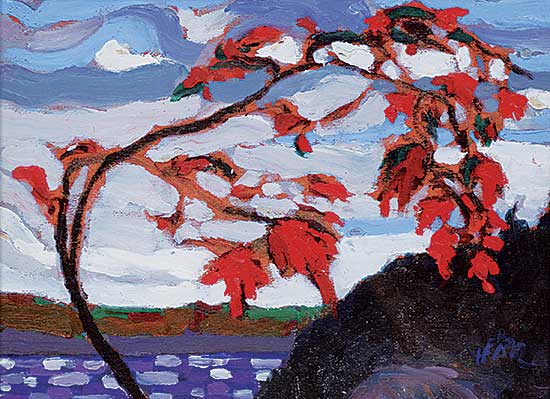 #461 ~ Hergel - Wind Swept Maple, Georgian Bay