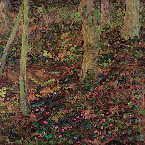 #504 ~ More - Cyclamens