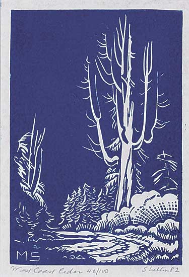 #545 ~ Shelton - West Coast Cedar  #42/100