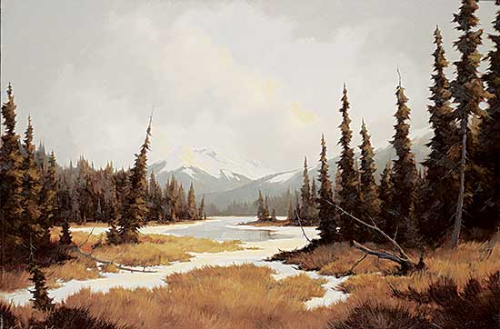 #567 ~ Wood - Whiterose Creek - Jasper Natl. Park