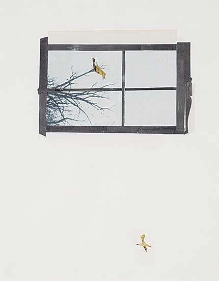#2045 ~ Augustine - Bird Song Outside His Window Made Him Happier