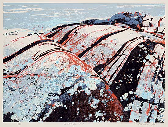 #2053 ~ Bartram - Rock Scape #7  #2/70