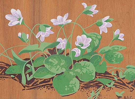 #2087 ~ Casson - Hepatica