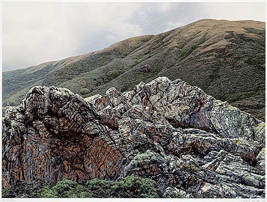 #2099 ~ Davis - Outcrop  #62/290