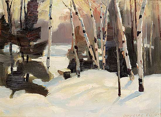 #2109 ~ Elliott - Late Afternoon Light