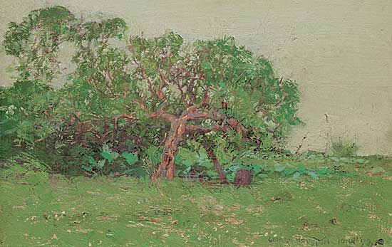 #2179 ~ Houston - Iona