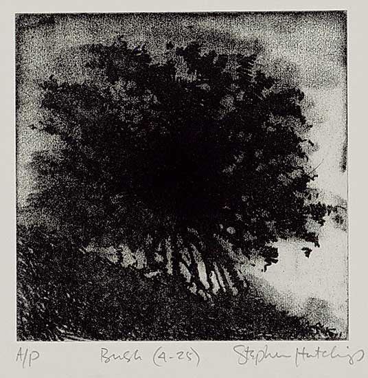 #2181 ~ Hutchings - Bush [4-25]  #AP