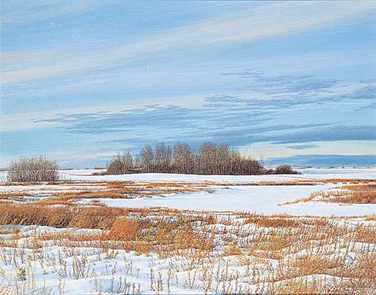#2226 ~ MacDonald - Winter Afternoon [No.7]