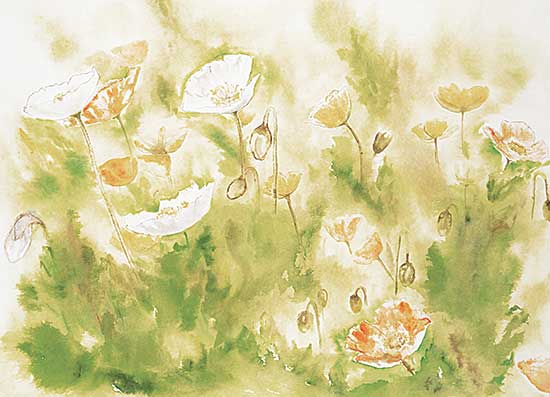 #2373 ~ Stewart [McKee] - Untitled - Poppies