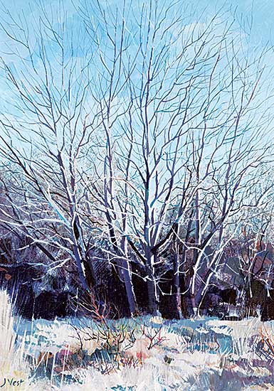 #2396 ~ Vest - Untitled - Winter Trees