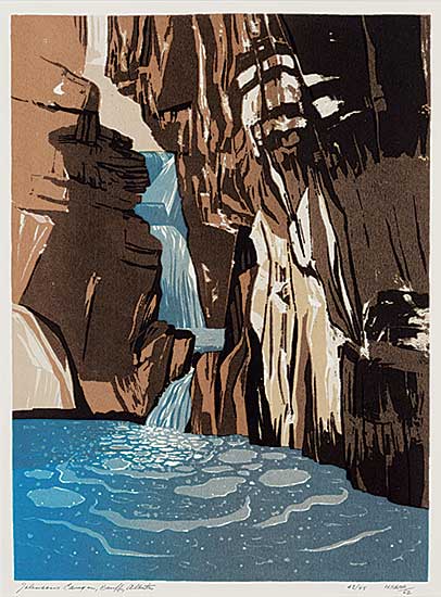 #2408 ~ Weber - Johnson's Canyon, Banff, Alberta  #42/45
