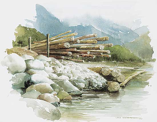 #2411 ~ Weisbrich - Log Dump