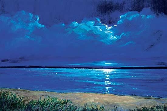#5 ~ Ault - Moonlight Swim