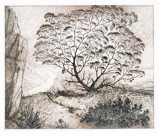 #10 ~ Blackwood - Gram Glover's Tree on Bragg's Island  #38/75