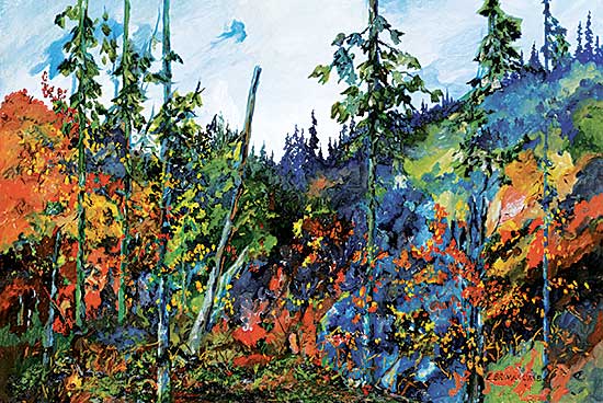 #15 ~ Brimacombe - Pristine Forest
