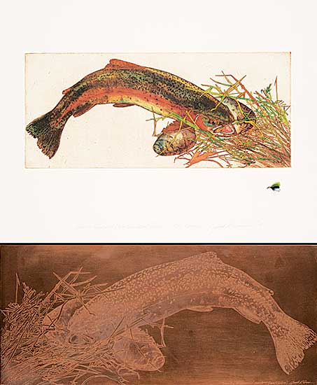 #31 ~ Cowin - Country Pleasures [Western Trout Series]  #25/25