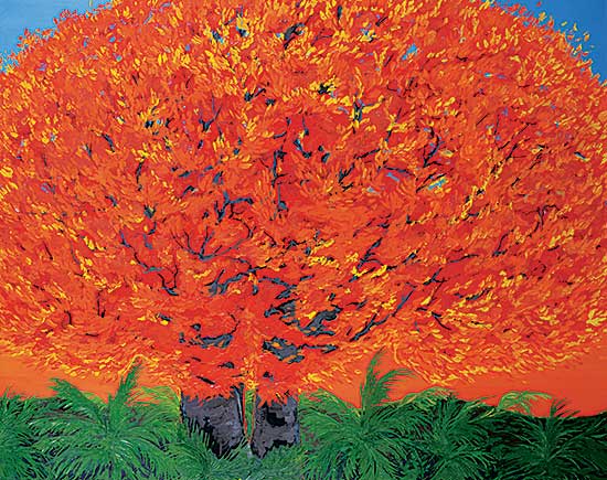 #60 ~ Hofmann - Flame Tree