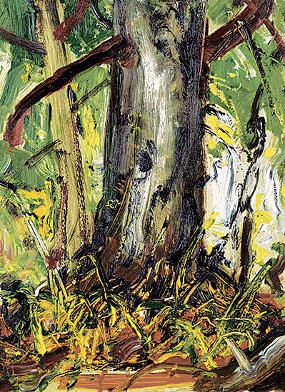 #86 ~ Lismer - Forest Interior, B.C.