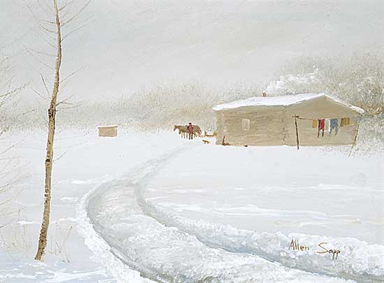 #128 ~ Sapp - Alex Sand's House on Little Pine Reserve