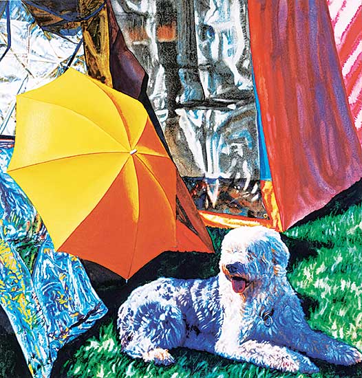 #226 ~ Haeseker - Hot Dog - Grass Corner