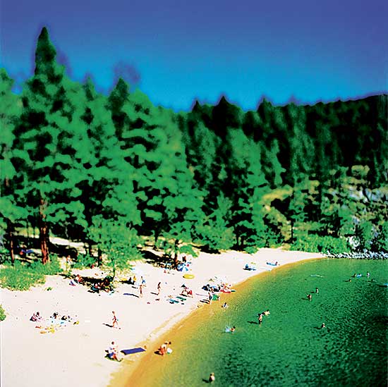 #229 ~ Hafkenscheid - Vernon