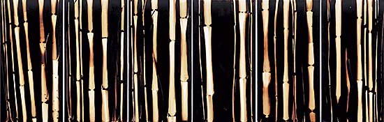 #242 ~ Lukacs - Arbor Vitae II Bamboo [Polyptych]
