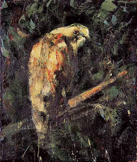 #259 ~ Scherman - Untitled - Bird