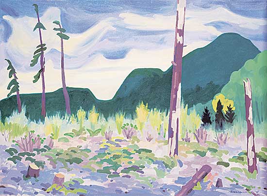#436 ~ Graham - Cowichan