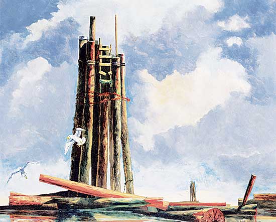 #463 ~ McVittie - Broken Ladder, North Vancouver