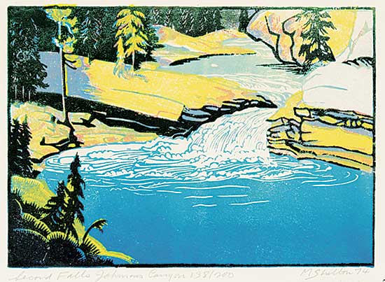 #497 ~ Shelton - Second Falls, Johnson's Canyon  #138/200